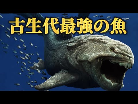 IUCN分類における絶滅の危険性を示す図。