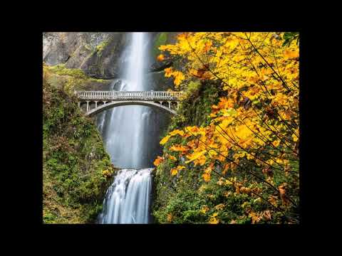 Thôi 2 - Julie Quang