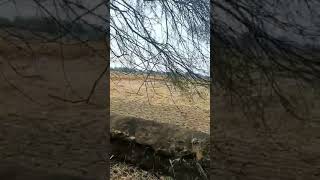  Agricultural Land for Sale in Mouda, Nagpur