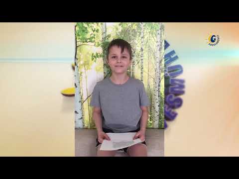 Filmprojekt „Karneval der Tiere“