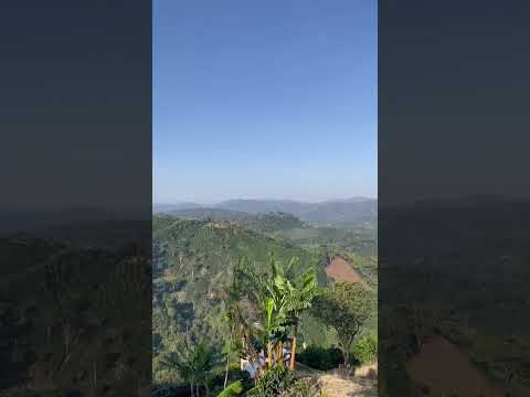 panorama palestina Huila Colombia 🇨🇴