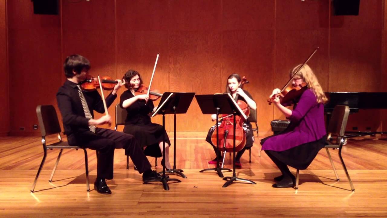Promotional video thumbnail 2 for Camelia Strings