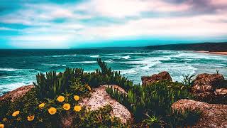 Cavern of Anti-Matter ~ Melody In High Feedback Tones