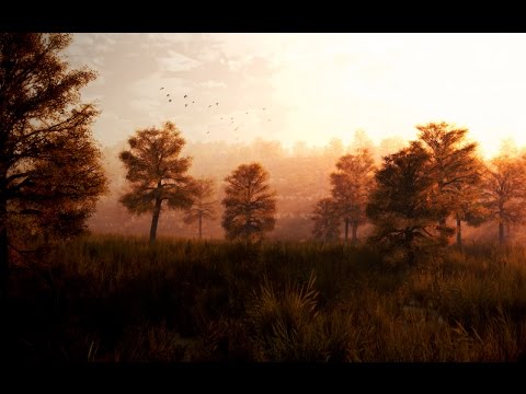 Morning Mist - Anthony Greninger