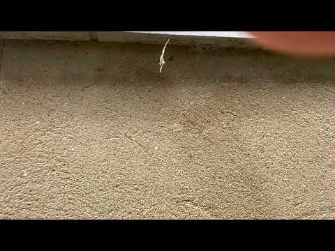 Pavement Founds Marching on the Side of the Home in Helmetta, NJ