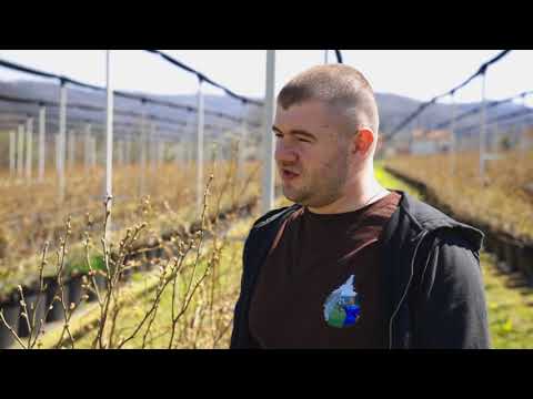 Srpski domaćin ep. 9 09.04.2020. Belosava, Gruža, Knić, Nemanja Nikolić, voćarstvo