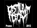Pestilent Decay Full Promo 2012 Slamming Brutal Death Metal