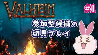 【ヴァルヘイム】完全初見のおすすめゲーム！面白そうなら参加型でやっていこうかな？！※初回は特定フレのみ参加可かも