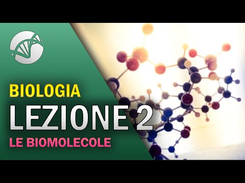 BIOLOGIA - Lezione 2 - Le Biomolecole
