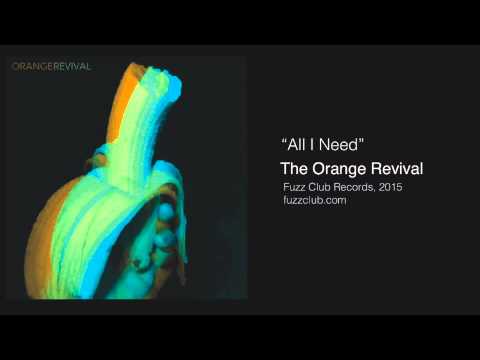 The Orange Revival  - All I Need - Futurecent LP