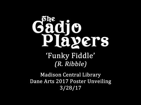 The Gadjo Players | Funky Fiddle | Madison Central Library 3/28/17 (Official video)