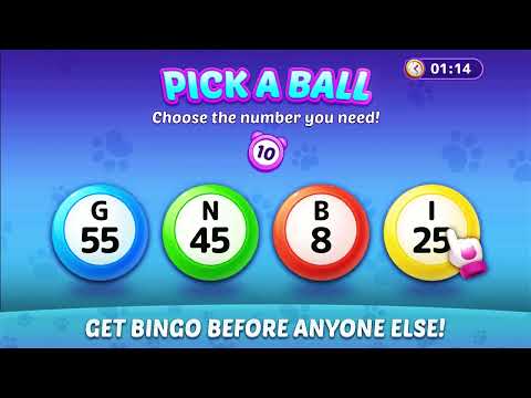 Bingo Haven: Story Bingo Games Video
