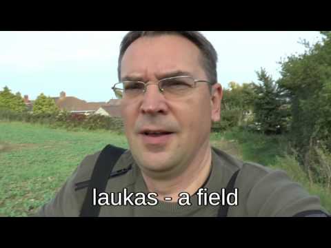 Lithuanian Lesson 27 - Pasivaikščiojimas po laukus - Walking in a field