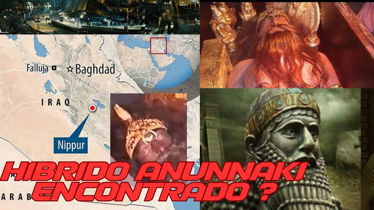 Encuentran semillas del árbol de la vida y gigantes Anunnaki en estasis en Florida e Irak