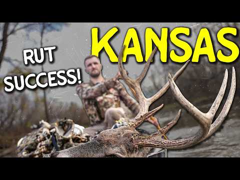 BIG BUCK AT 10 YARDS! Our Kansas Public Land Bow Hunt