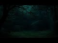 Strange Silence Before The Storm Inside Deep Forest Full Storm Rain 3 HOURS
