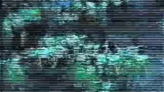 רמי פורטיס - סיפורים מהתחת - קליפ גנוז !