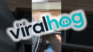 Carpenter Showcases Sliding Drawer Near Fridge || ViralHog