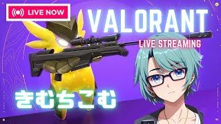 【valorant】新actコンペ/G1　きむちこむ