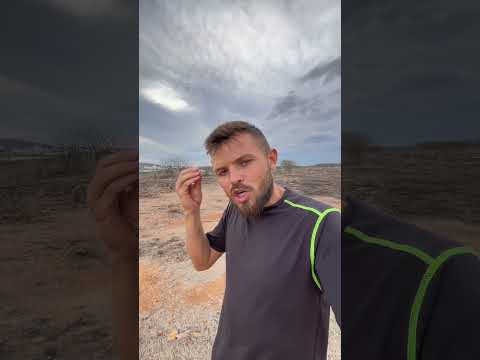 Muita chuva em Quiterianopolis Ceará