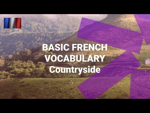 What Are the Numbers One to Ten in French