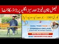 Exclusive Discount Available In Faisal Town Phase 2 Overseas Enclave