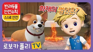 🚨반려동물 안전 수칙 | 로보카폴리X재능TV | 스스로 안전🚨