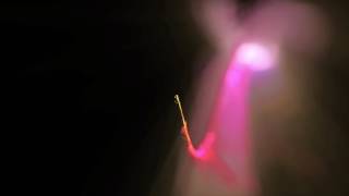 María José Parra Zúñiga - Punto de Referencia, Juan Larrea