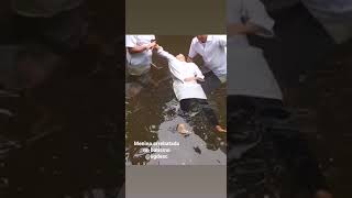 Download lagu Menina é arrebatada após seu batismo nas águas 2020 - Terra Santa - Link completo na descrição mp3