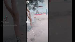 Download lagu jumman  Shaa jalali mp3