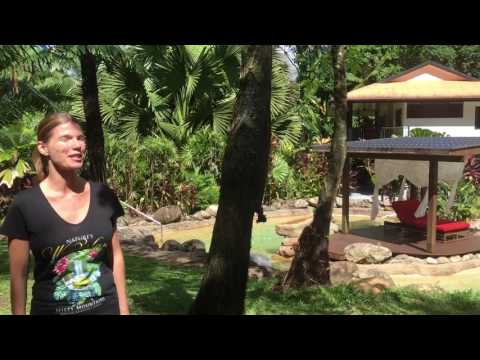 Misty Mountains Rainforest retreat epic romantic QLD getaway