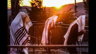 תפילת שחרית בנץ החמה במירון בזמן קורונה