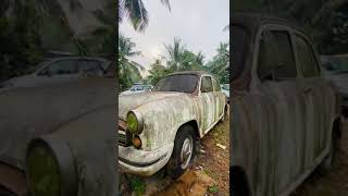 ambassador car, old 👑