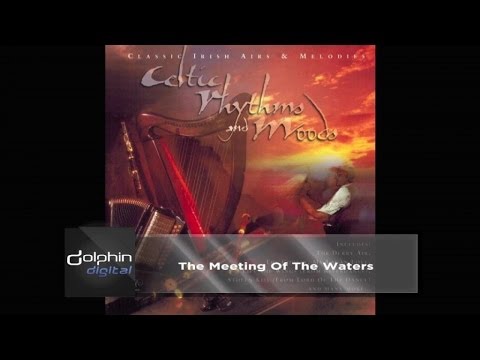The Celtic Orchestra - The Meeting of the Waters