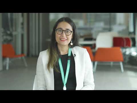 Bayside's Multicultural Community