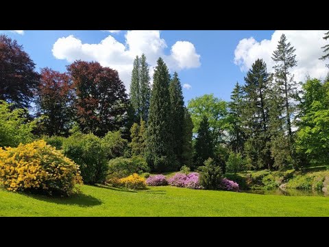 Procházky s Ilonou - Rozkvetlý Průhonický park