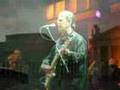 Brian Wilson - This Whole World