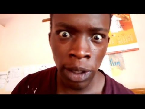 ZOGO - Official Trailer 1