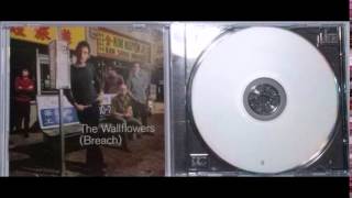 The Wallflowers - Murder 101