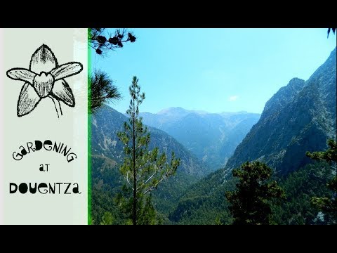 Hike in Samaria Gorge, Crete & The Walking Wounded