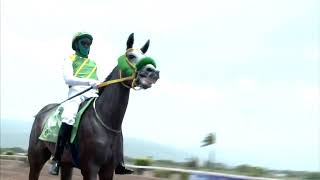 Caymanas Park Jamaica | Saturday, August 15, 2026