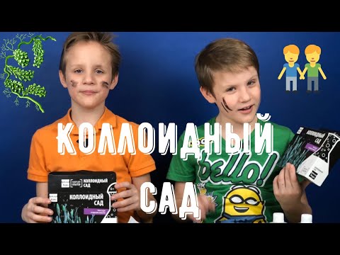 Коллоидный сад: делаем химические водоросли!