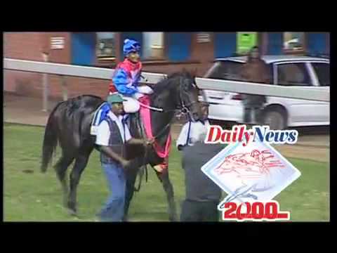 Daily News & Woolavington 2000 2013