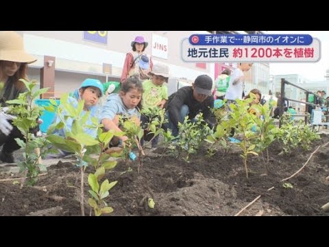 YouTube Video 幼稚園児と保護者らが地域に自生する苗木を植樹「イオンふるさとの森づくり植樹祭」　静岡市駿河区