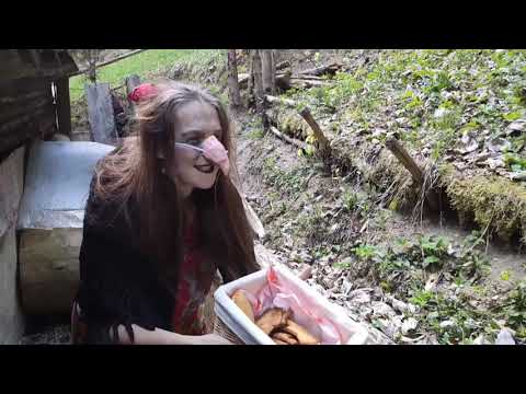 Perníková chalúpka alebo Nuda v korone