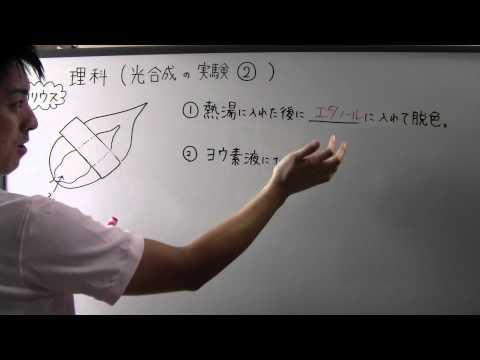 光合成の最も初期の直接証拠が発見された