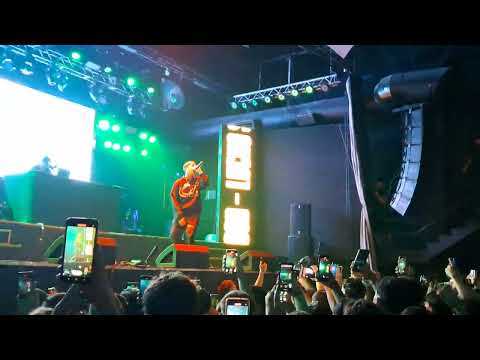 LUCHO SSJ - FREESTYLE (VIVO GROOVE 2025)