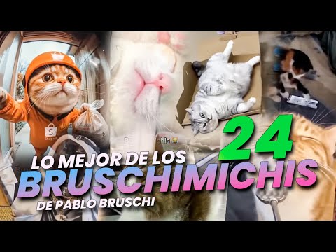 LO MEJOR DE LOS BRUSCHIMICHIS 24 - PABLO BRUSCHI