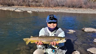 preview picture of video 'South Platte River Cheesman Deckers Colorado fly fishing June 2011'