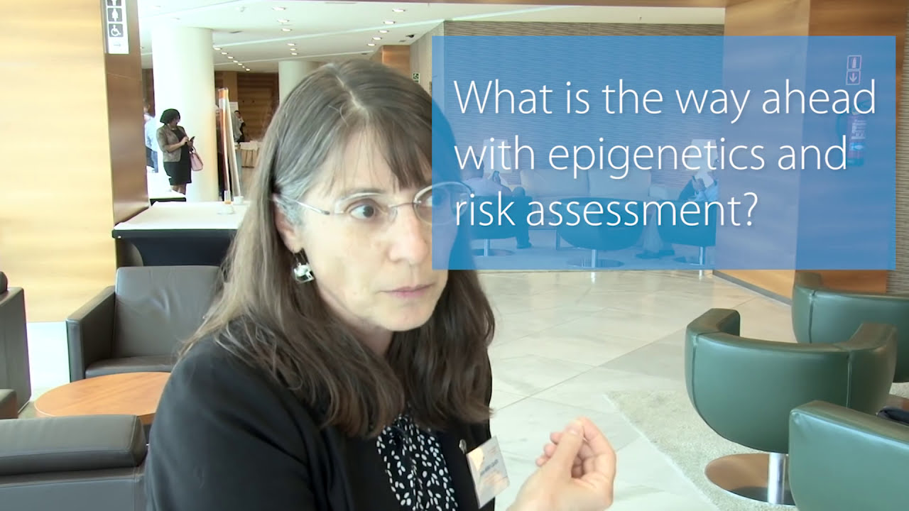 Epigenetics and risk assessment: where do we stand?